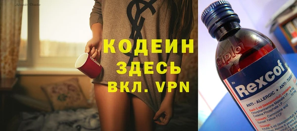 шишки Сатка