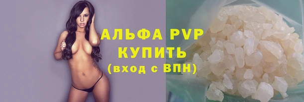 шишки Сатка