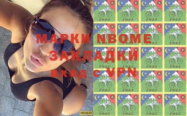 шишки Сатка